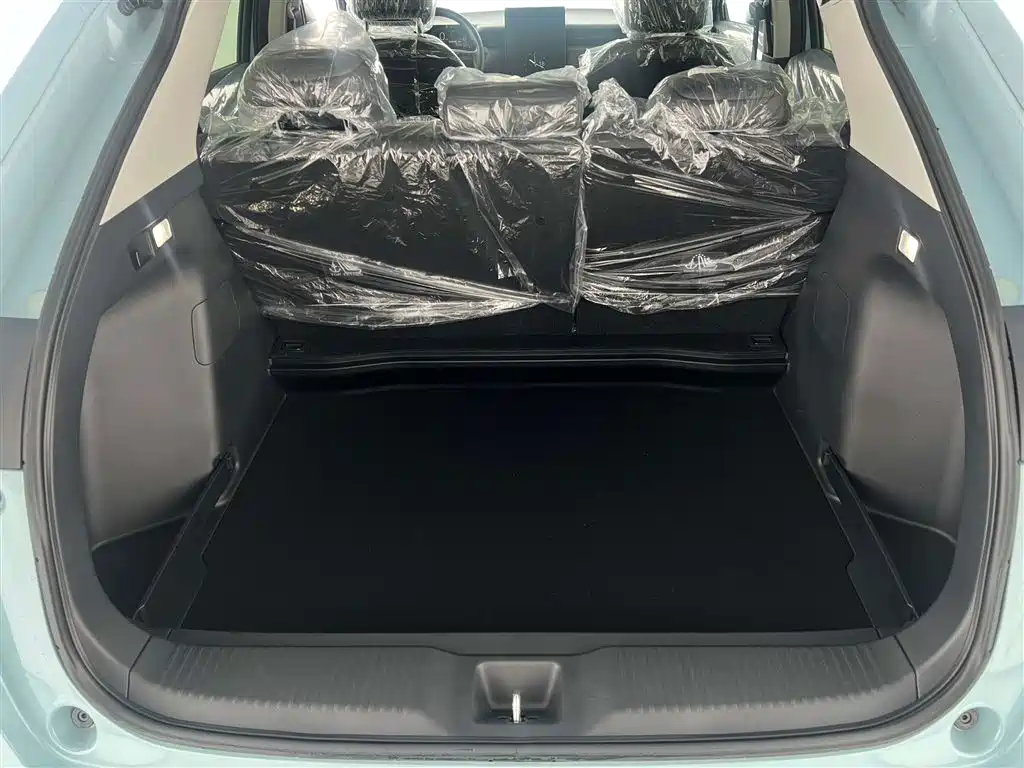e:NP1 2023 420km Jianji Edition