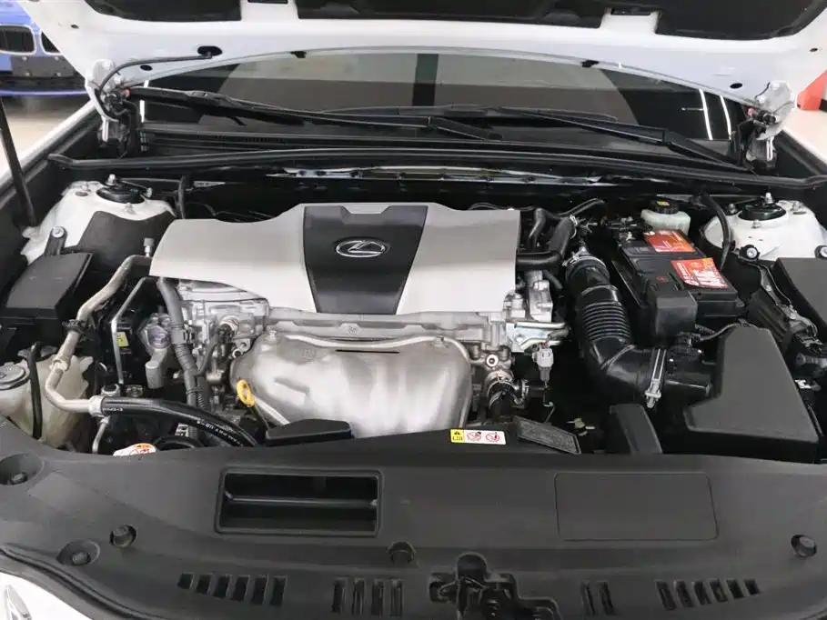 2018 Lexus ES 200 Excellence Edition China V