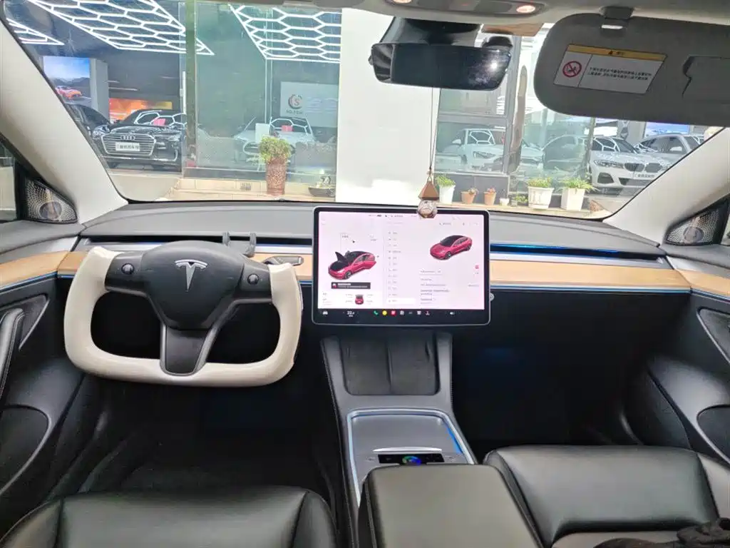 Tesla Model 3 2021 Standard Range Plus RWD 3D6