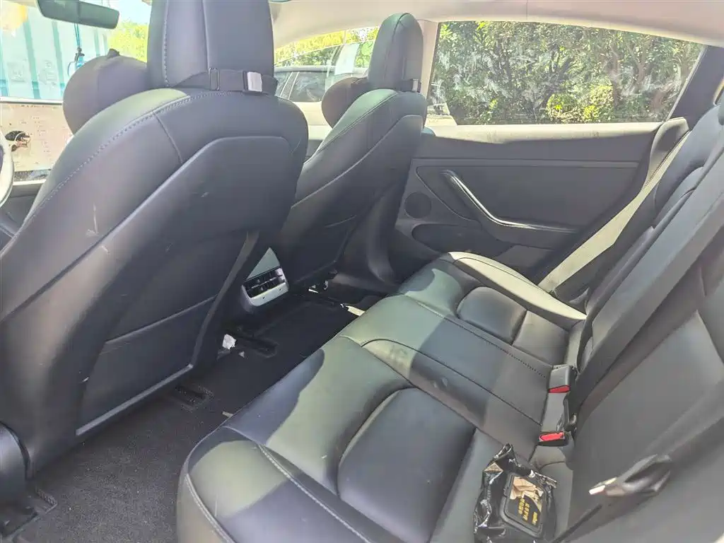 Tesla Model 3 2022 Rear-Wheel Drive