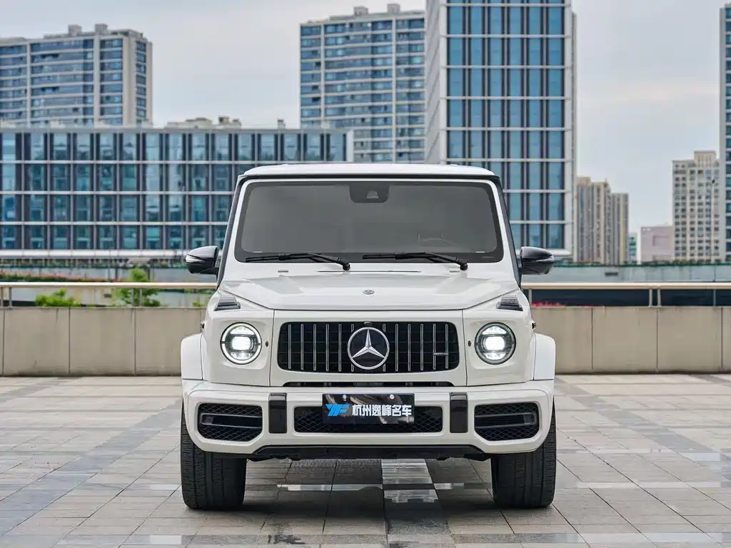 Mercedes-Benz G 500 2019