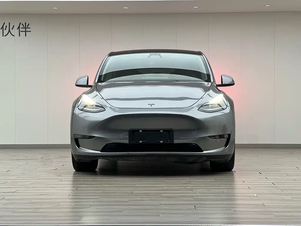 Model Y 2021 Long Range All-Wheel Drive