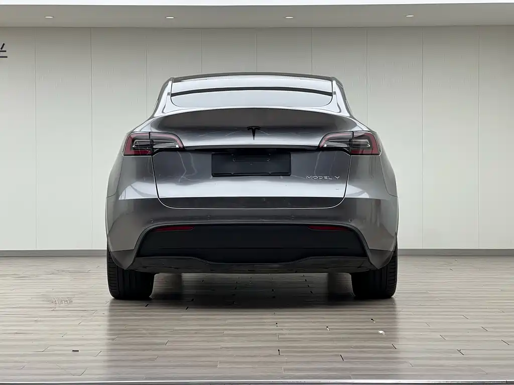 Model Y 2021 Long Range All-Wheel Drive