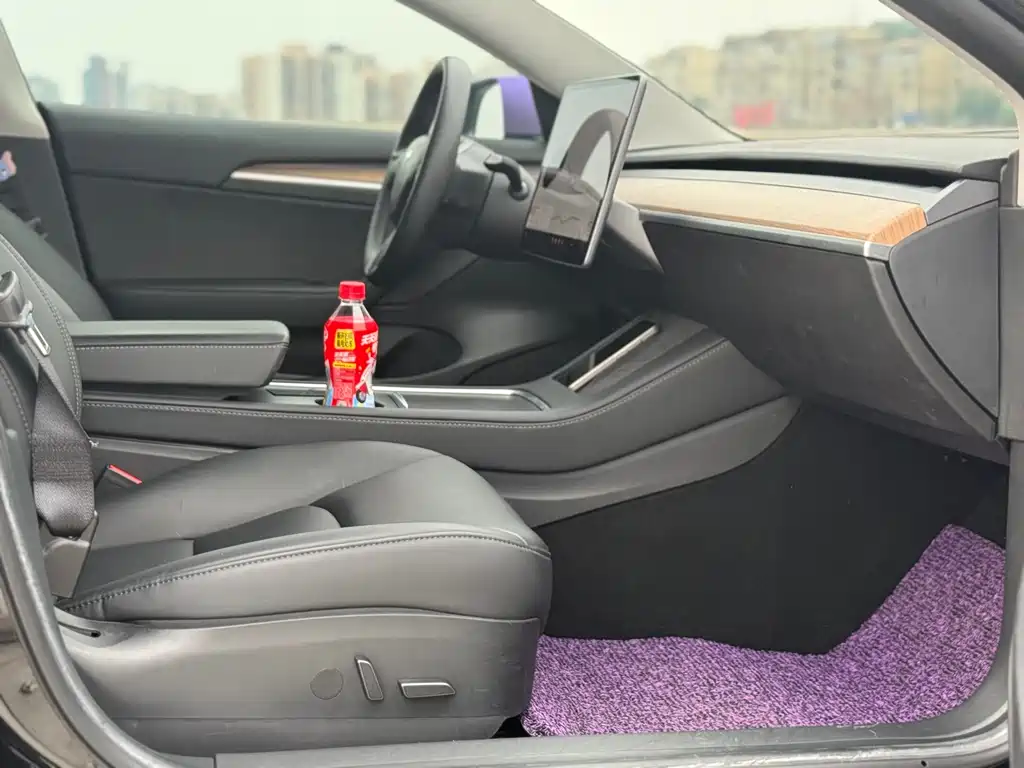Tesla Model 3 2021 Standard Range Plus RWD