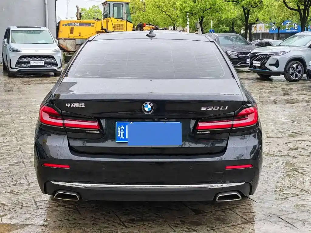 BMW 5 Series 2021 530Li Executive Luxury Edition - фото 10