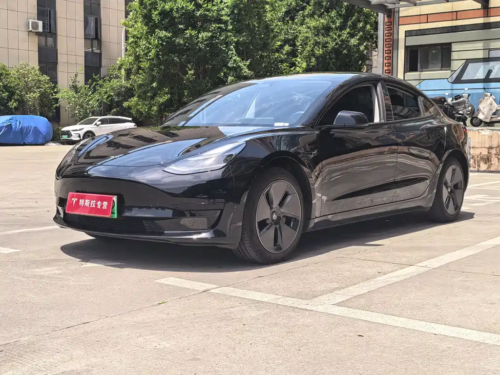 Tesla Model 3 2022 Rear-Wheel Drive