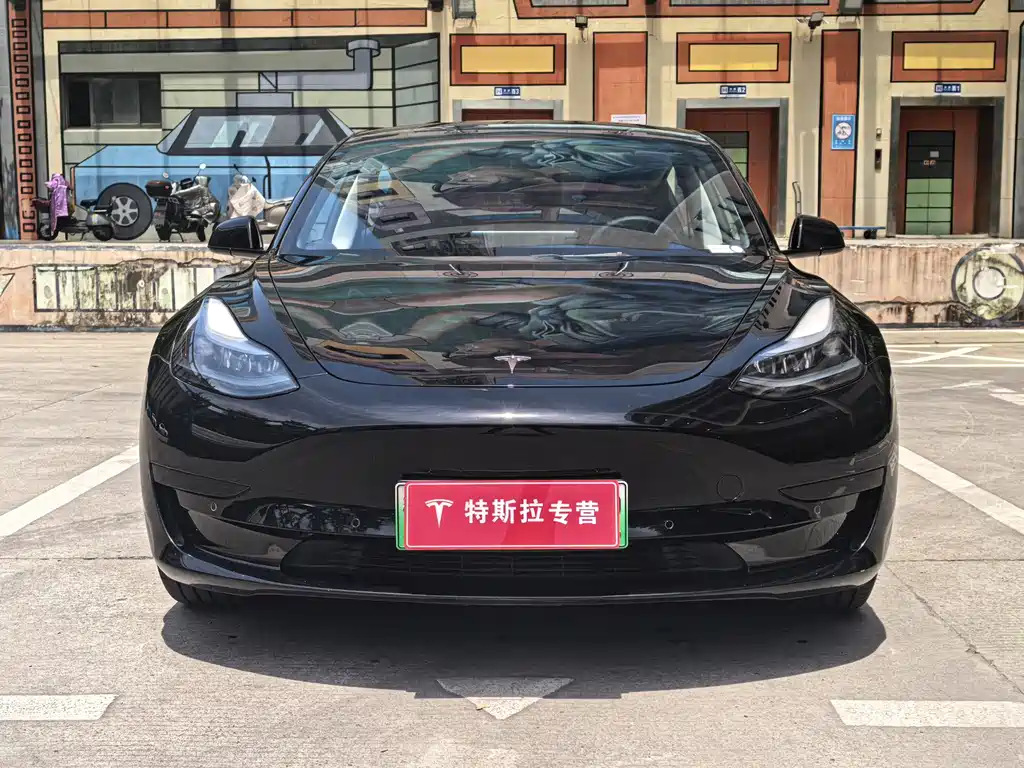 Tesla Model 3 2022 Rear-Wheel Drive