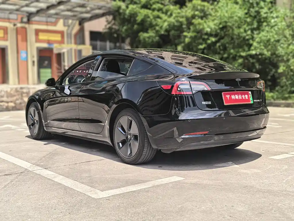 Tesla Model 3 2022 Rear-Wheel Drive