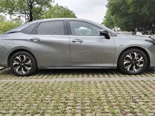 AION S 2019 Mei Evo 530