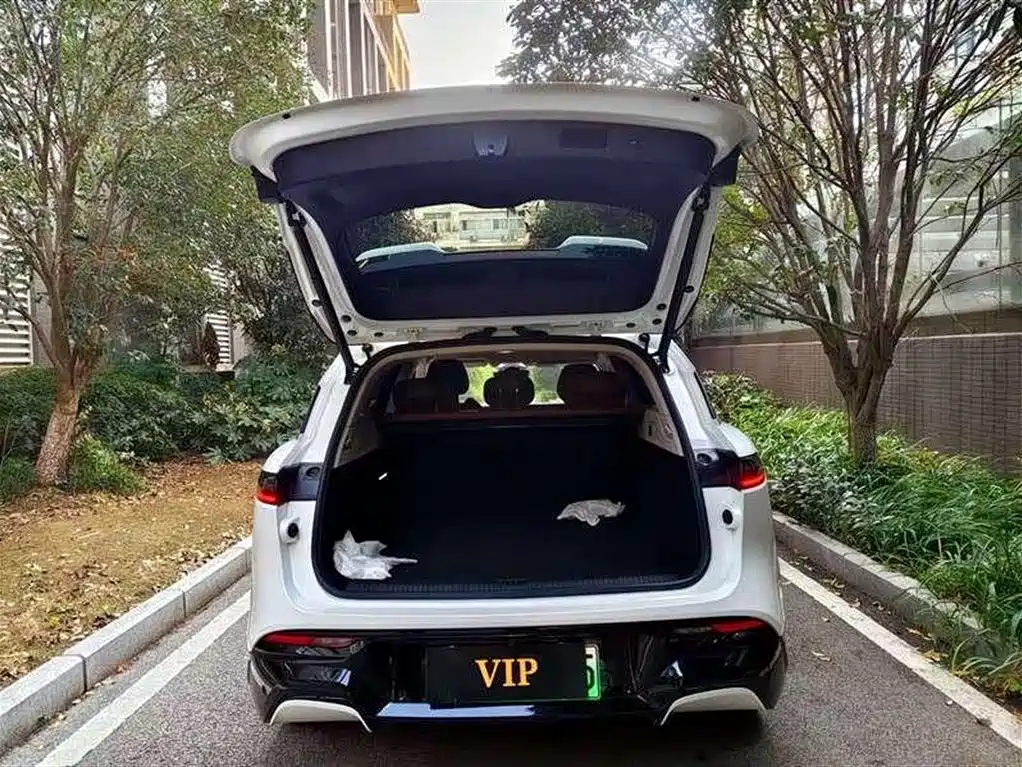 Voyah FREE 2024 Long Range Intelligent Driving Edition