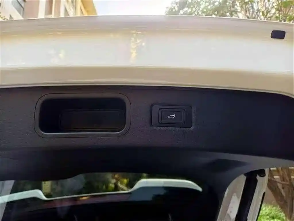 Voyah FREE 2024 Long Range Intelligent Driving Edition