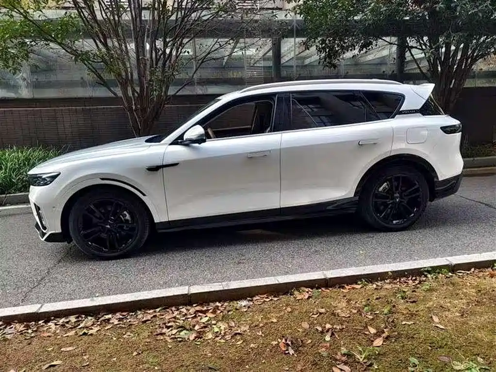 Voyah FREE 2024 Long Range Intelligent Driving Edition