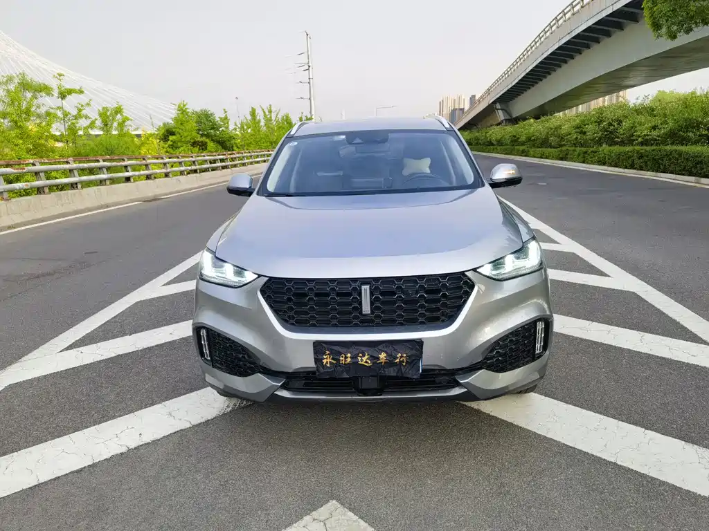 WEY VV6
