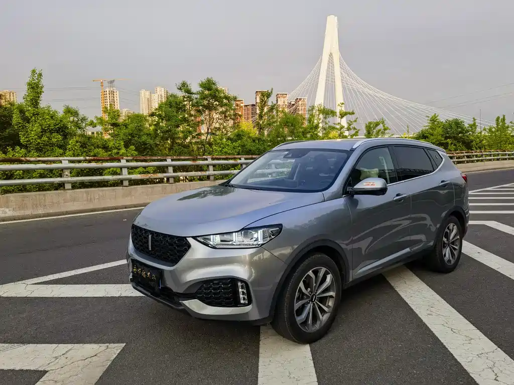 WEY VV6