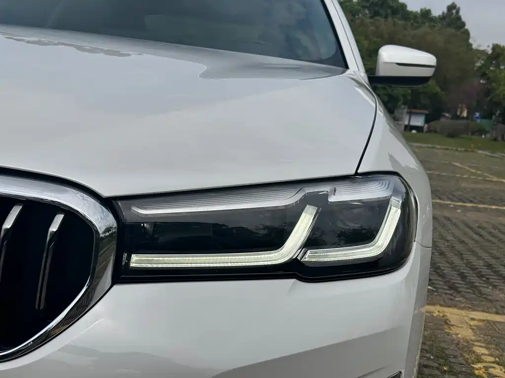 BMW 5 Series 2021 530Li Leading Edition Luxury Package - фото 14