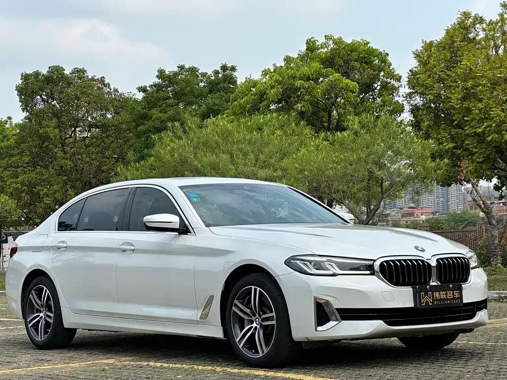 BMW 5 Series 2021 530Li Leading Edition Luxury Package - фото 3