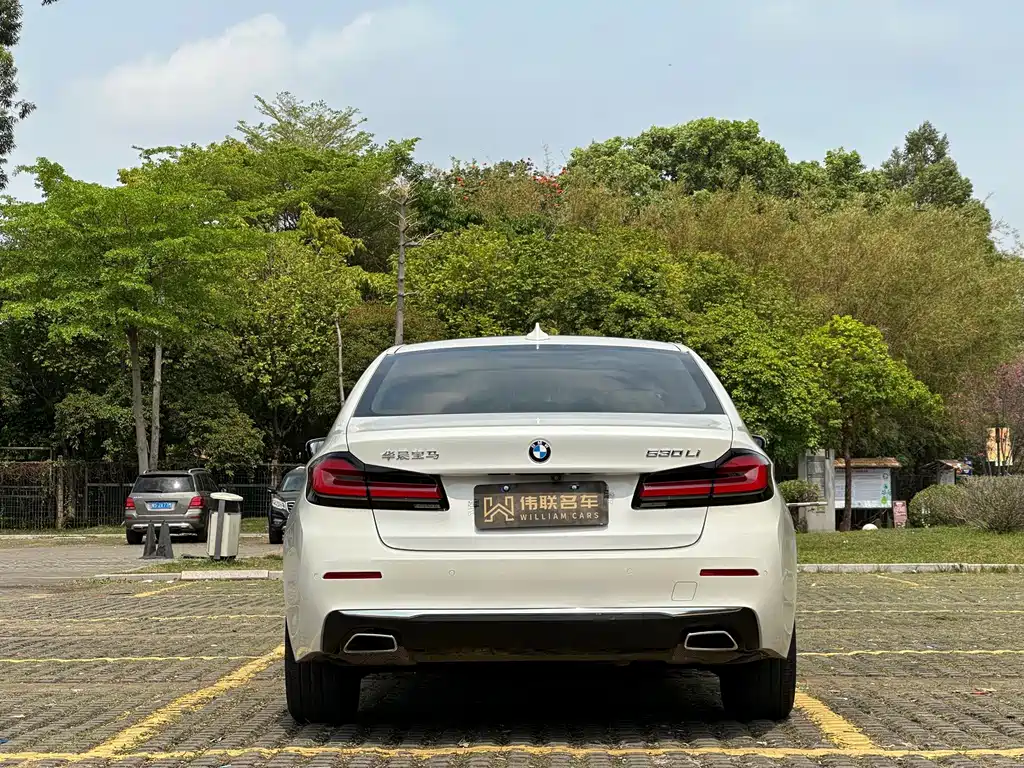 BMW 5 Series 2021 530Li Leading Edition Luxury Package - фото 5