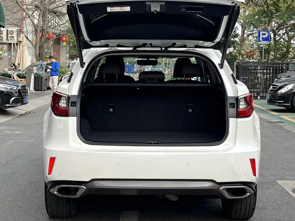 Lexus RX 300 AWD Elegant Edition