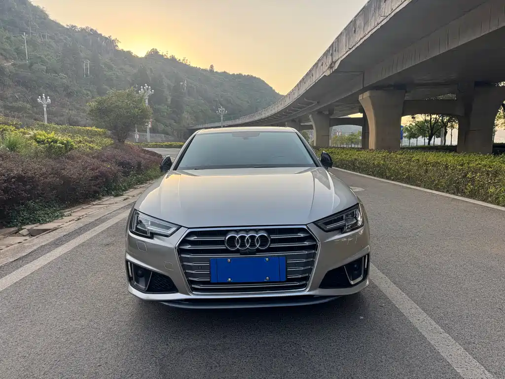 Audi A4L 2019 45 TFSI quattro Individual Sport Edition China V