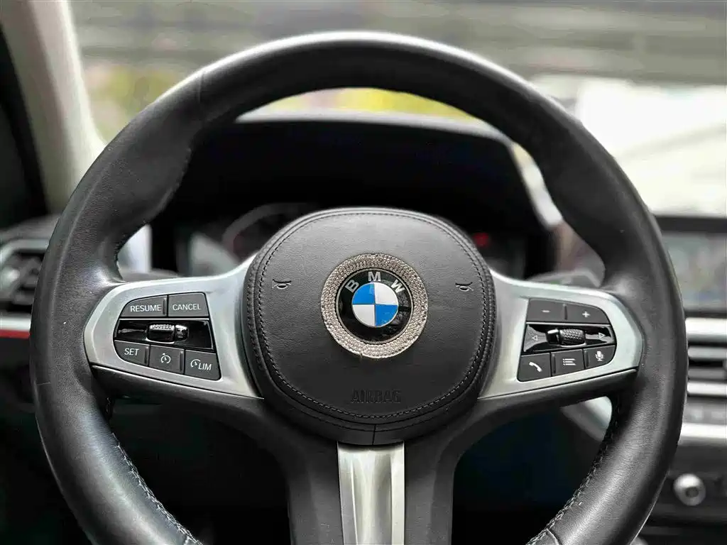 BMW 3 Series 2020 325Li M Sport Package - фото 10