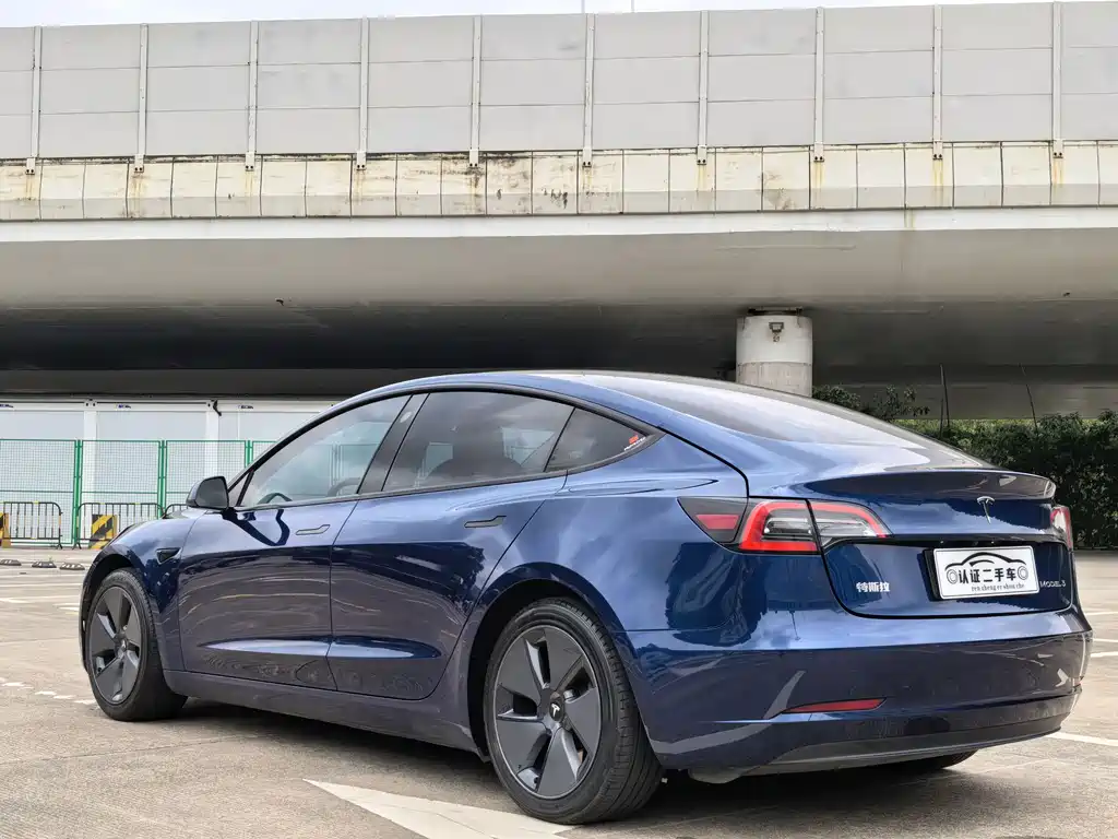 Tesla Model 3 2021 Standard Range Plus RWD