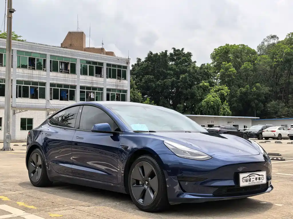 Tesla Model 3 2021 Standard Range Plus RWD