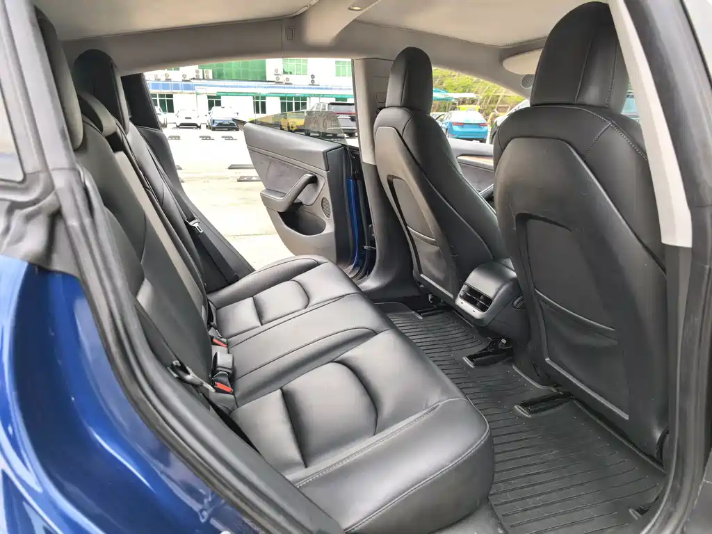 Tesla Model 3 2021 Standard Range Plus RWD
