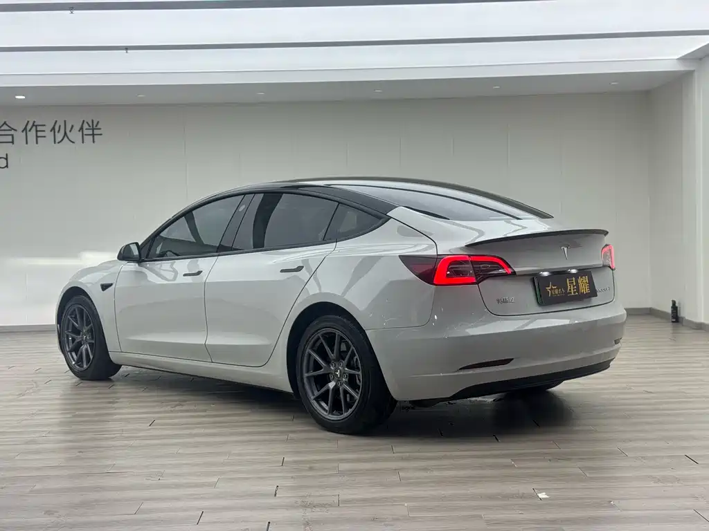 Tesla Model 3 2022 Rear-Wheel Drive
