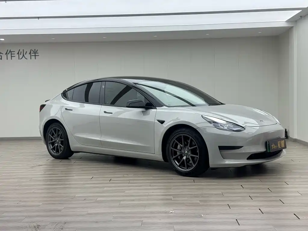 Tesla Model 3 2022 Rear-Wheel Drive