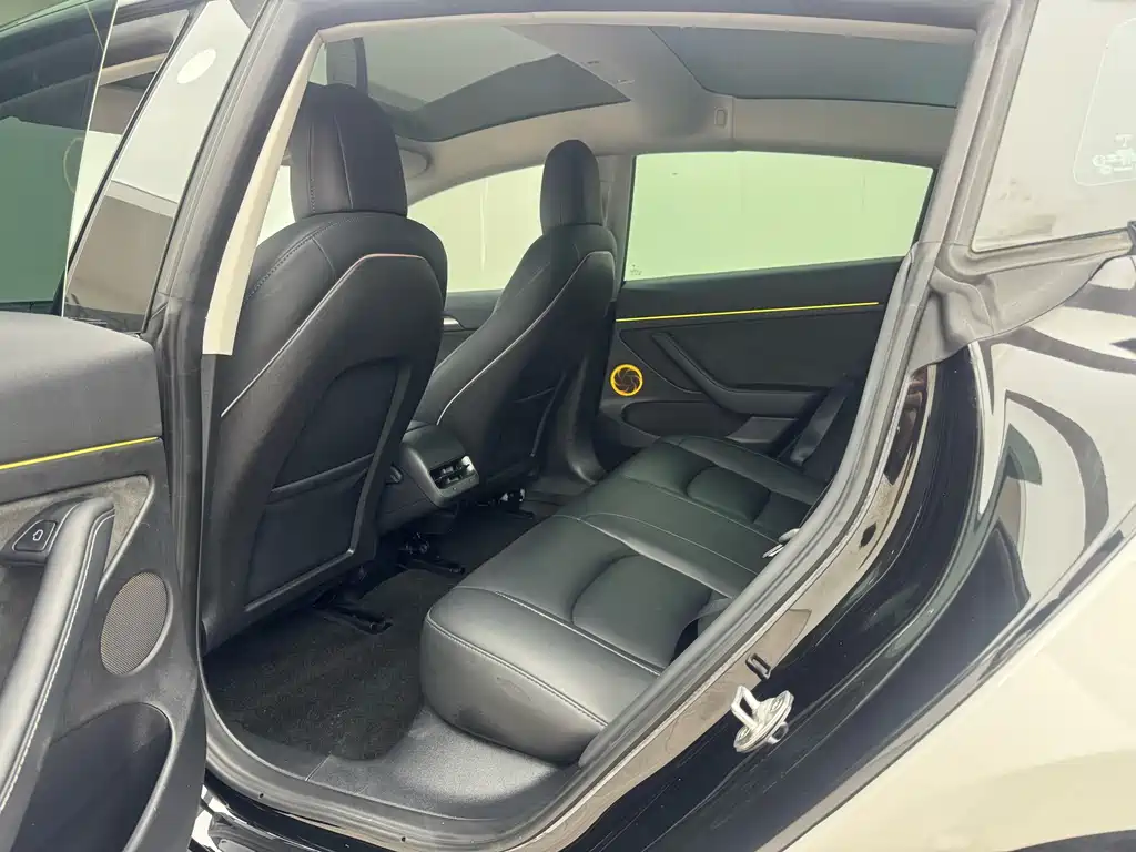 Tesla Model 3 2022 Rear-Wheel Drive