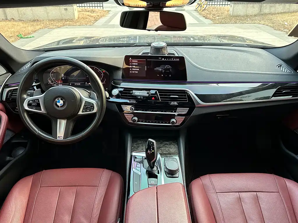 BMW 5 Series 2020 530Li Leading Edition M Sport Package - фото 8