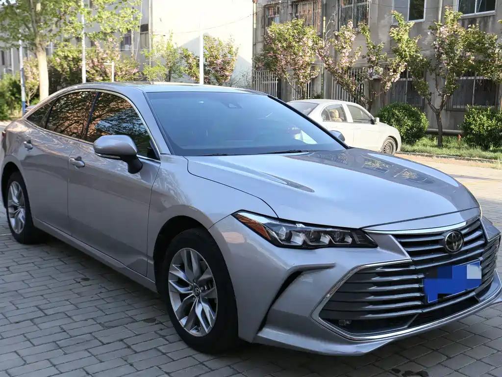 Avalon 2019 2.0L Entry Edition China VI