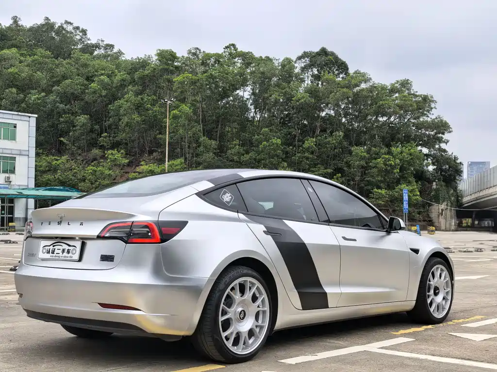 Tesla Model 3 2021 Standard Range Plus Rear-Wheel Drive 3D6