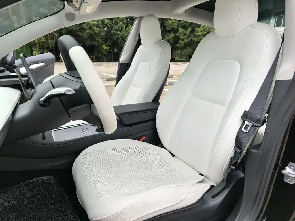 Tesla Model 3 2021 Standard Range Plus Rear-Wheel Drive 3D6