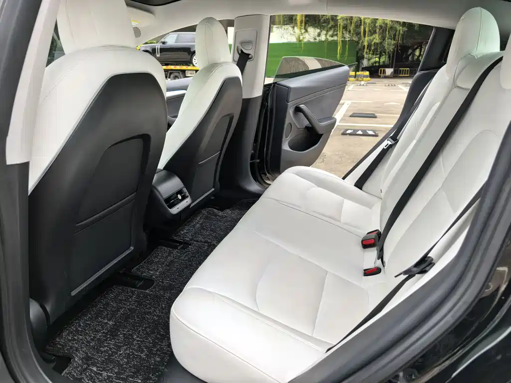 Tesla Model 3 2021 Standard Range Plus Rear-Wheel Drive 3D6