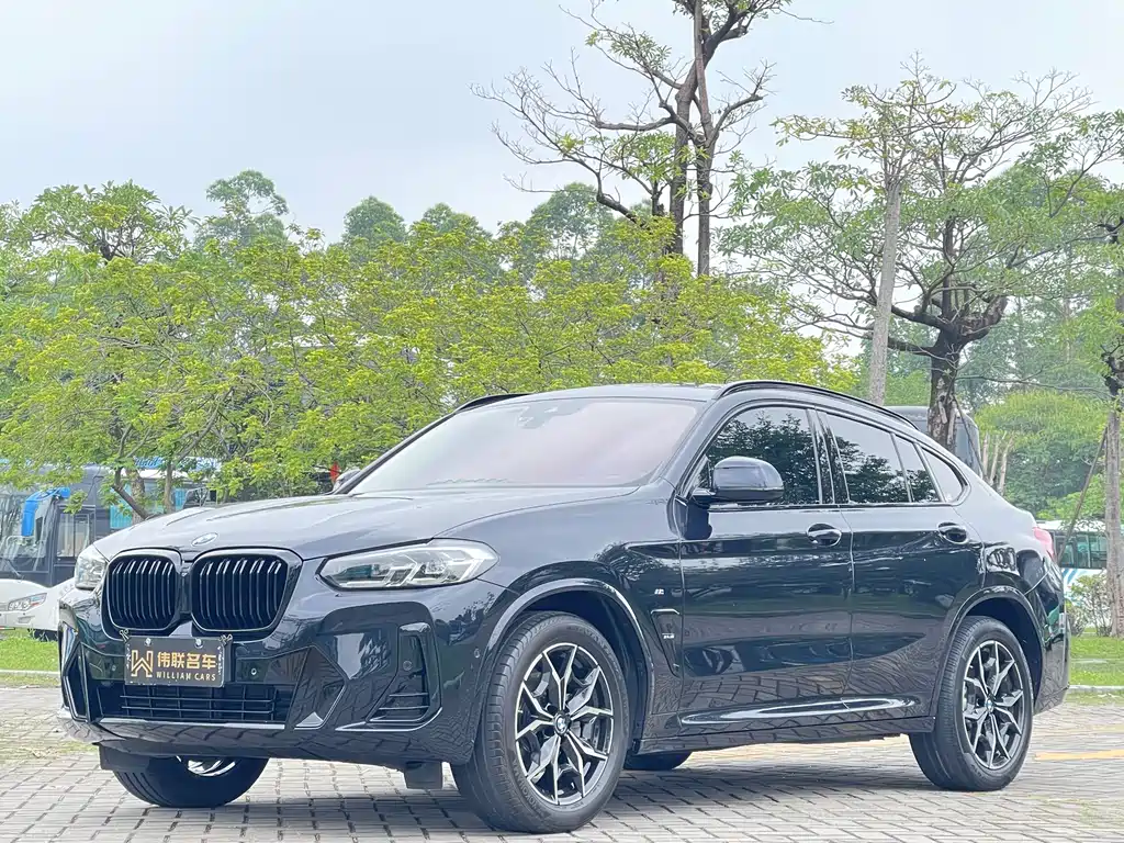 BMW X4 2022 xDrive 25i M Sport Package