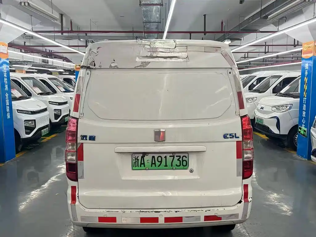 Farizon E5 2019 E5L Pure Electric Van Guoxuan 39.9kWh