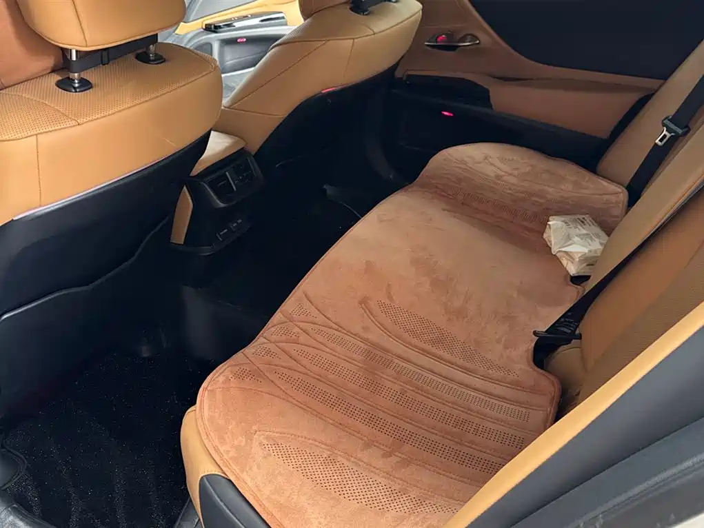 Lexus ES 2023 200 Excellence Edition
