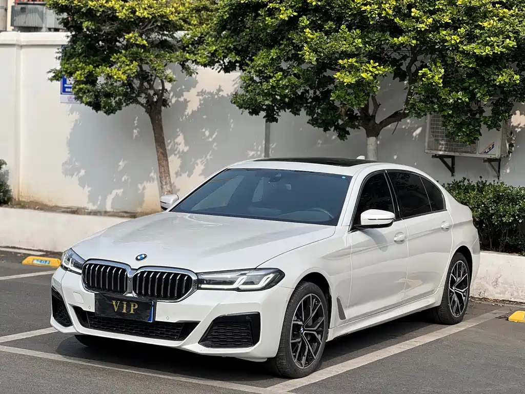 BMW 5 Series 2023 530Li Exclusive M Sport Package