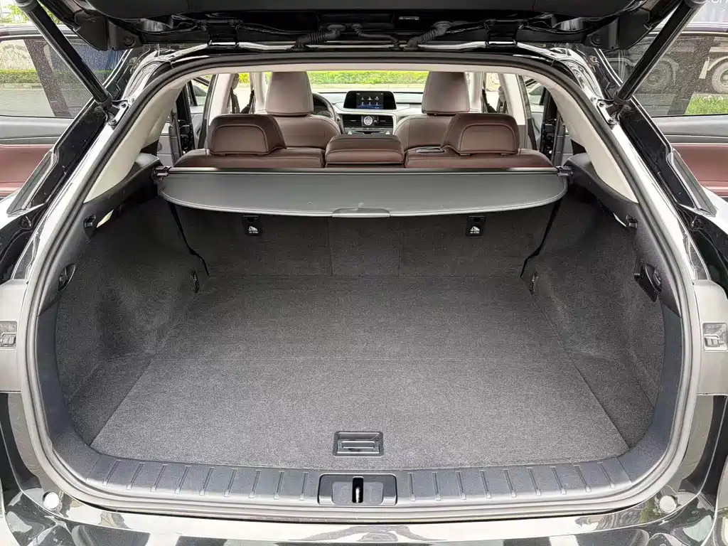 Lexus RX 2020 Facelift 300 AWD Elegant Edition