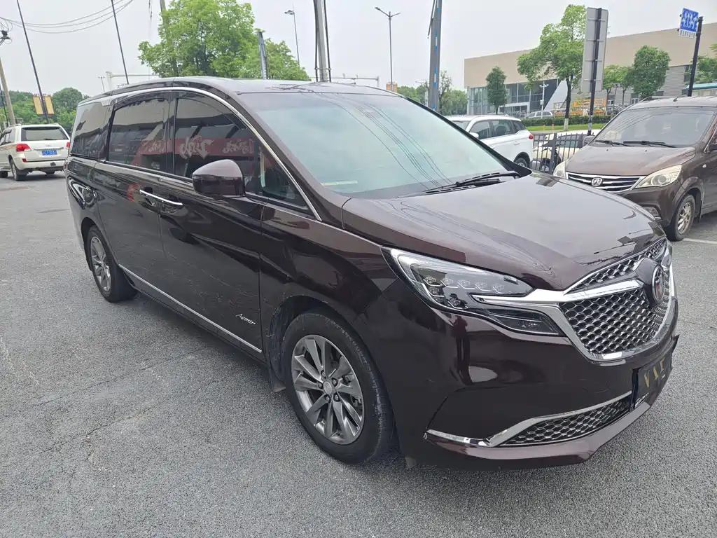Buick GL8 2021 Avenir Six-Seat Xianli Edition