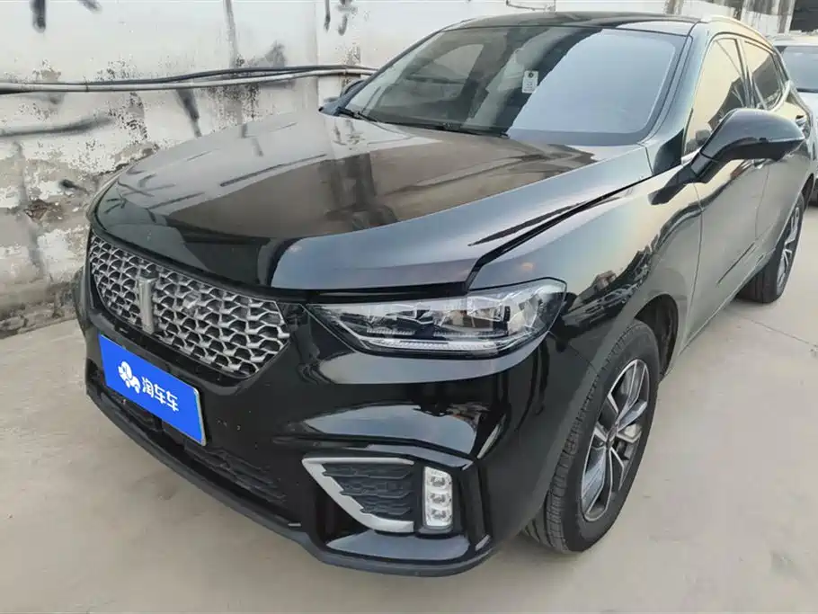 WEY VV5 2021 1.5T FWD Yan Xianfeng