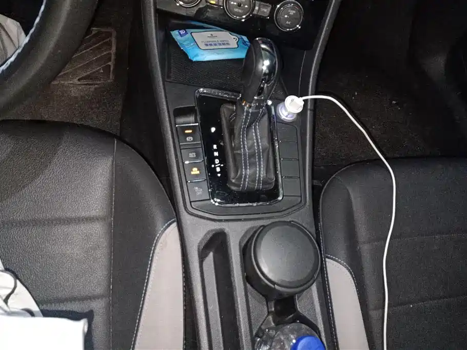 Bora EV 2020 Shang Pro