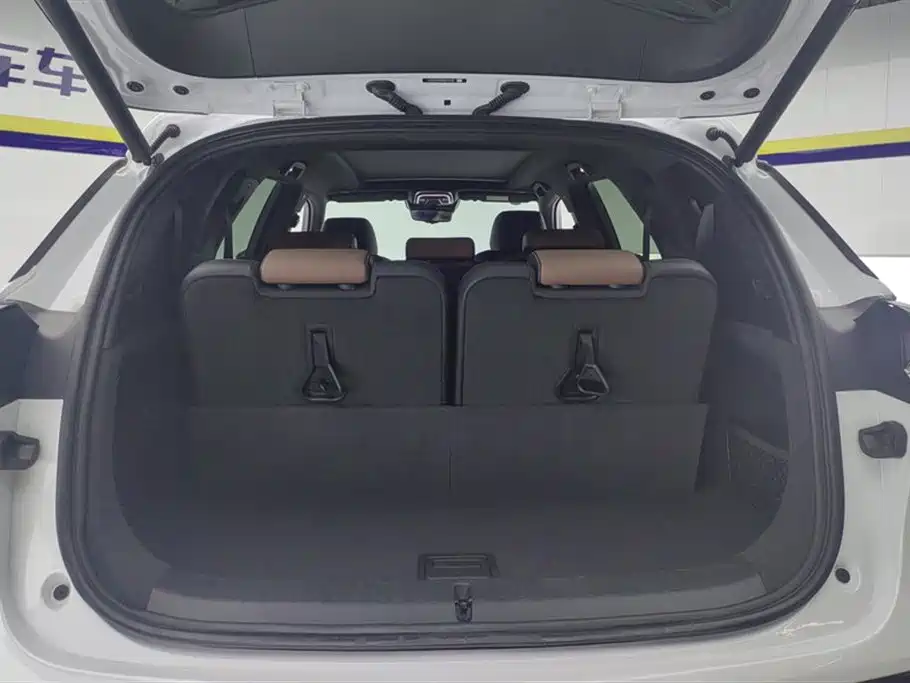BYD Tang DM-i 2021 112KM Premium