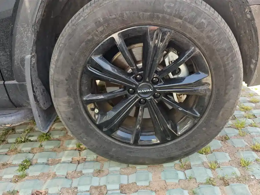 Haval Menglong 2024 Hi4 145 Adventure Edition