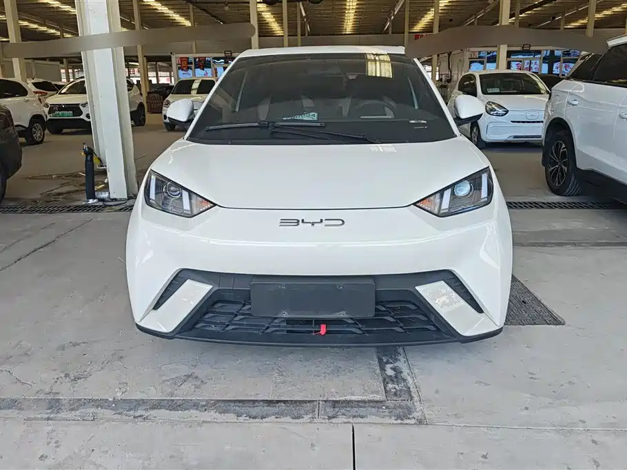 BYD Seagull 2023 Vitality Edition