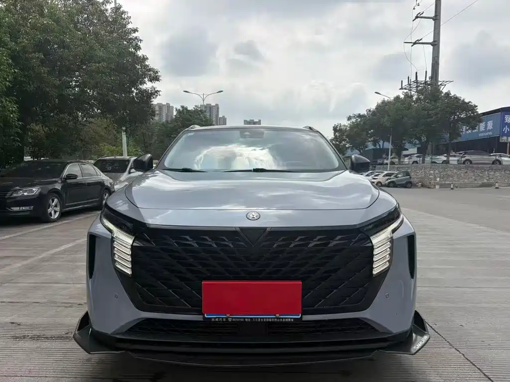 Venucia Big V 2021 260T Tianwang Edition