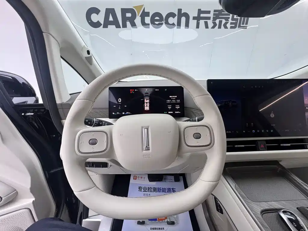 WEY Gaoshan 2025 AWD Gaoshan 9