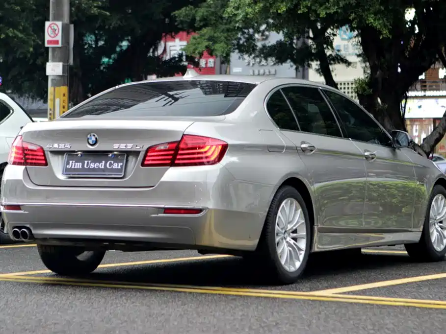BMW 5 Series 2014 525Li Luxury Design Package - фото 7