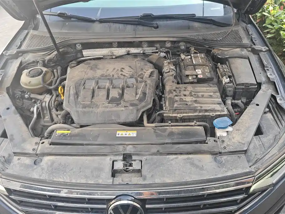 Volkswagen Magotan 2020 330TSI DSG Luxury
